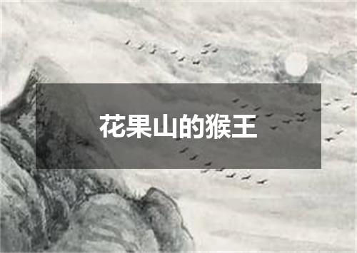 花果山的猴王