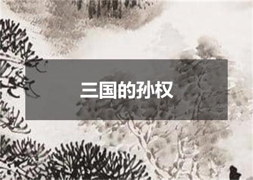 三国的孙权