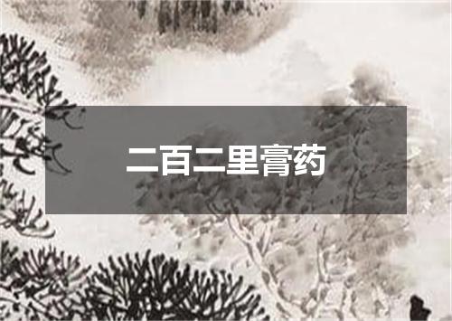 二百二里膏药
