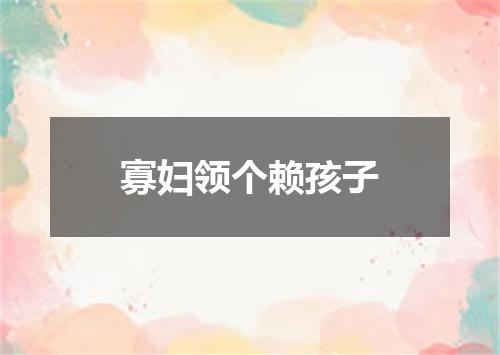 寡妇领个赖孩子
