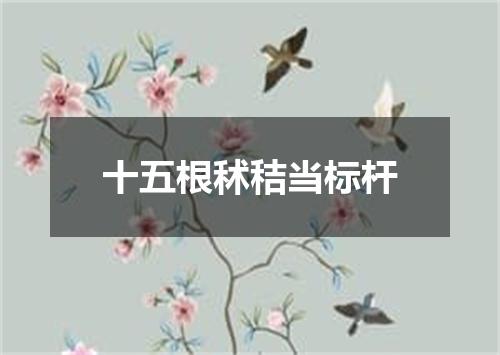 十五根秫秸当标杆