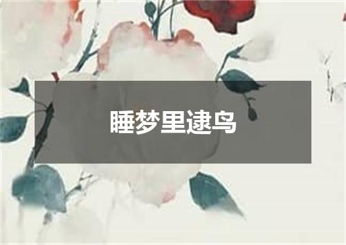 睡梦里逮鸟