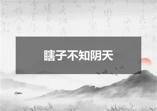 瞎子不知阴天