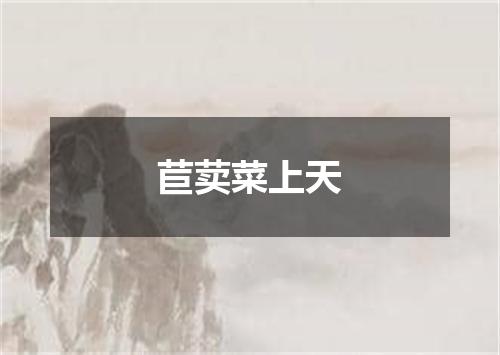 苣荬菜上天
