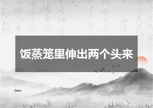 饭蒸笼里伸出两个头来