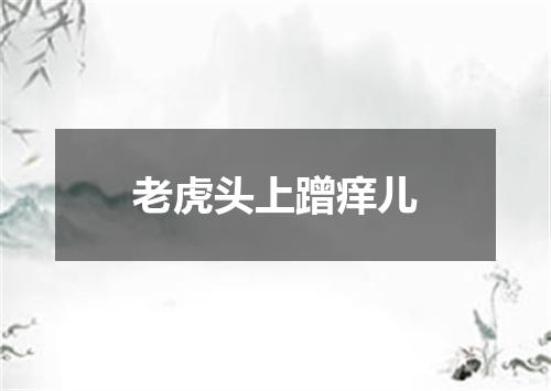 老虎头上蹭痒儿