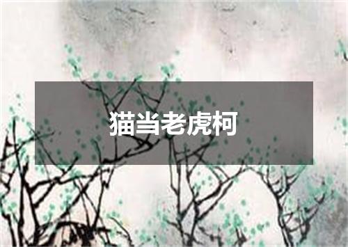 猫当老虎柯