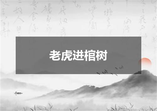 老虎进棺树