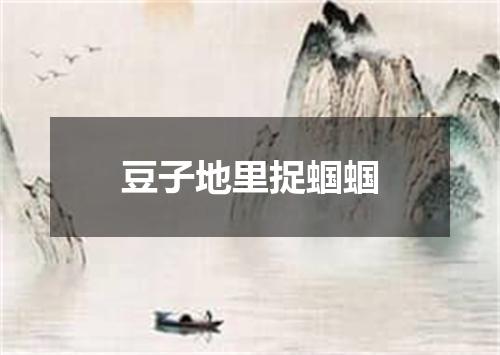 豆子地里捉蝈蝈