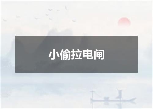 小偷拉电闸