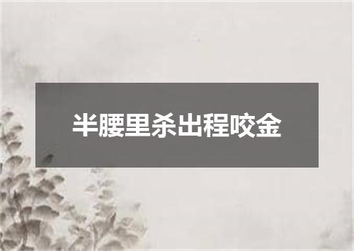 半腰里杀出程咬金
