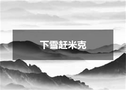 下雪赶米克