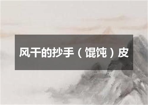 风干的抄手（馄饨）皮