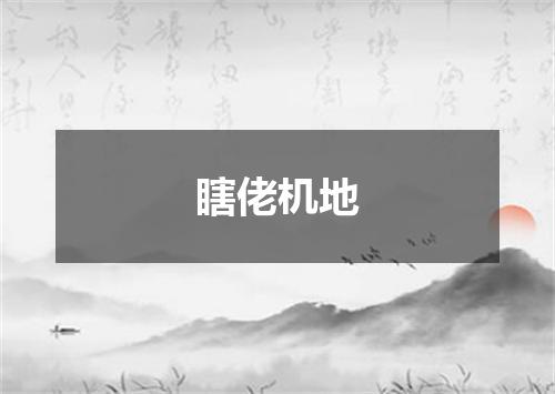 瞎佬机地