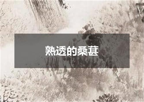 熟透的桑葚