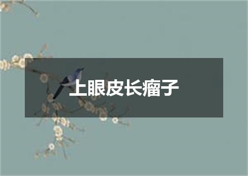 上眼皮长瘤子