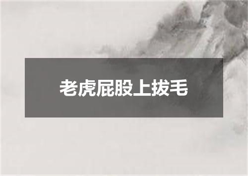 老虎屁股上拔毛