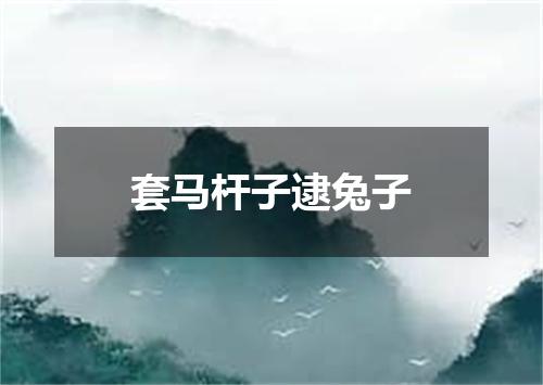 套马杆子逮兔子
