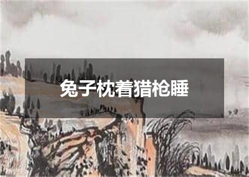 兔子枕着猎枪睡
