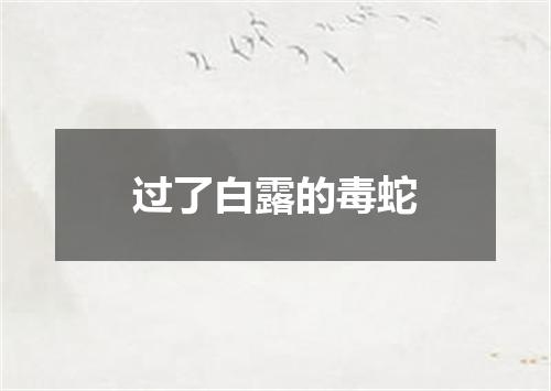 过了白露的毒蛇