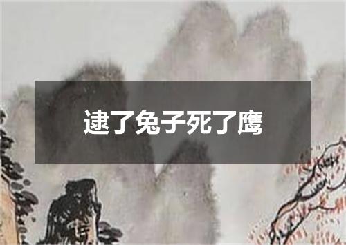 逮了兔子死了鹰