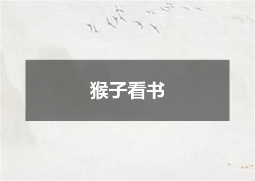 猴子看书