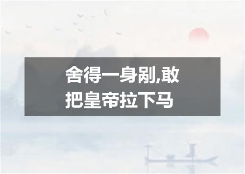 舍得一身剐,敢把皇帝拉下马