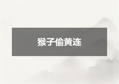 猴子偷黄连