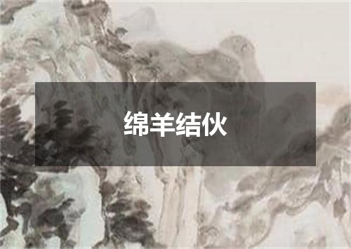 绵羊结伙