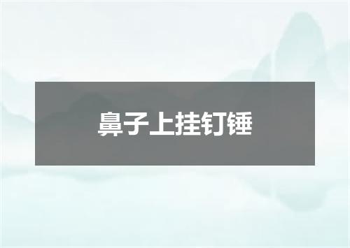 鼻子上挂钉锤