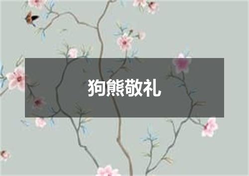 狗熊敬礼