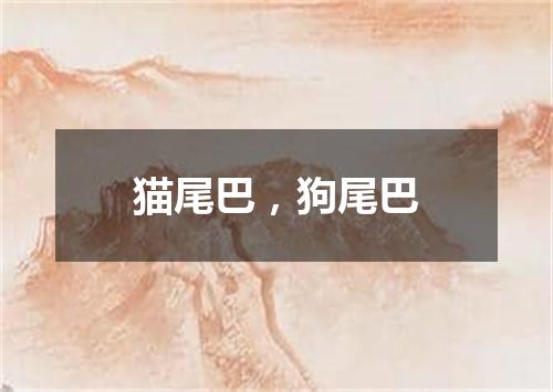 猫尾巴，狗尾巴