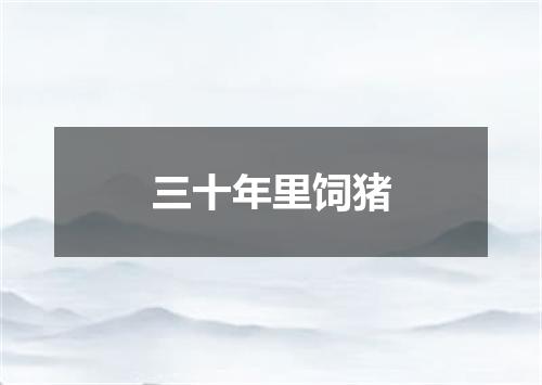 三十年里饲猪