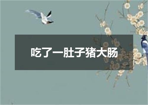 吃了一肚子猪大肠
