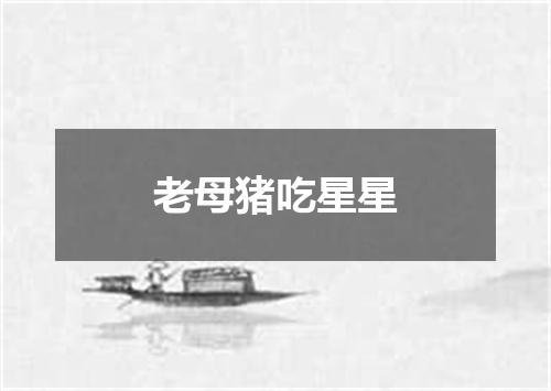 老母猪吃星星