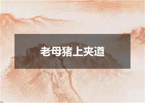 老母猪上夹道