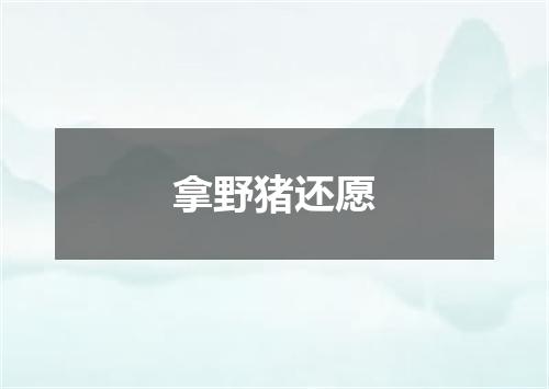 拿野猪还愿