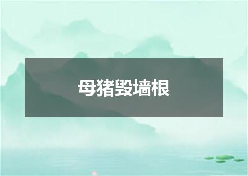 母猪毁墙根