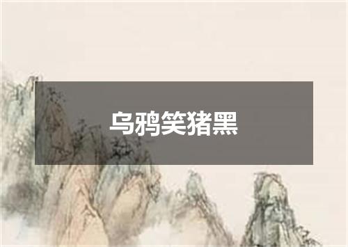 乌鸦笑猪黑