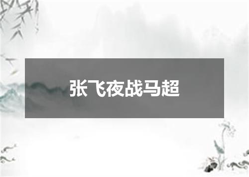 张飞夜战马超