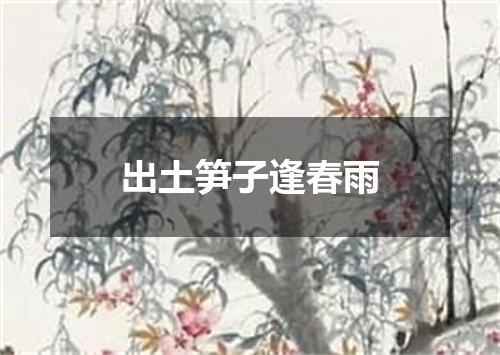 出土笋子逢春雨