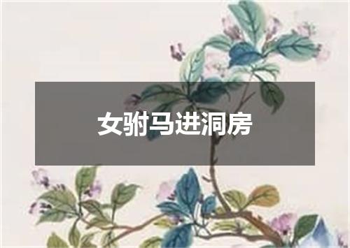 女驸马进洞房