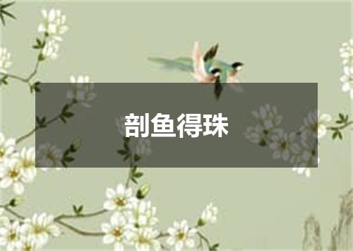 剖鱼得珠