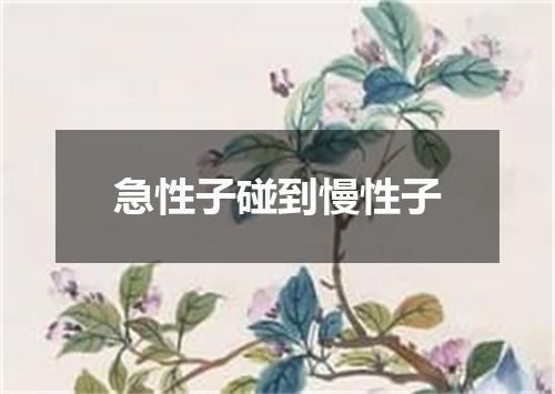 急性子碰到慢性子