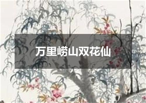 万里崂山双花仙